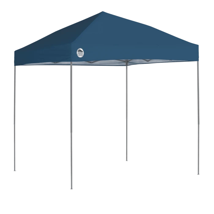 POP-UP CANOPY PURPLE/GRAY 1 POP-UP CANOPY PURPLE/GRAY